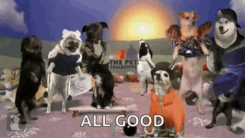 a group of dogs are standing in front of a sign that says the pet collective