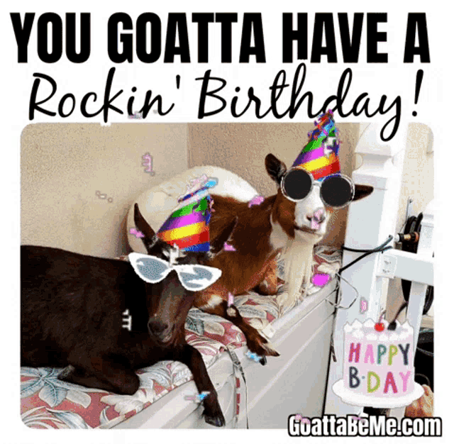 two goats wearing party hats and sunglasses are laying on a bed next to a cake that says happy birthday