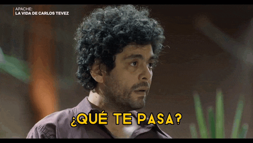 a man with curly hair and a beard says contalo boludo
