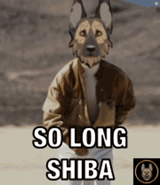a picture of a dog with the words so long shiba