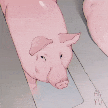 свиня джакузі хрюкати GIF - свиня джакузі свиня хрюкати GIFs