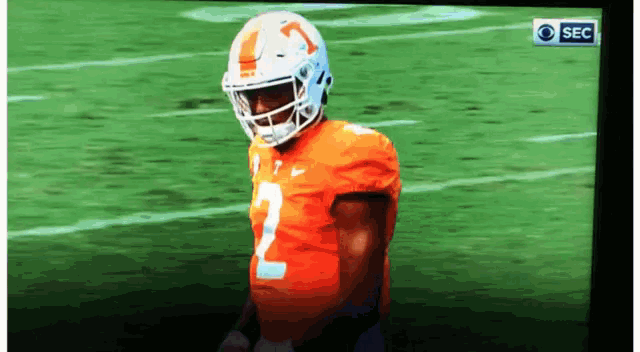 a football player with the number 2 on his jersey stands on the field