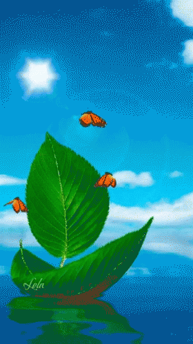 Amazing Butterfly GIF - Amazing Butterfly Leaf GIFs