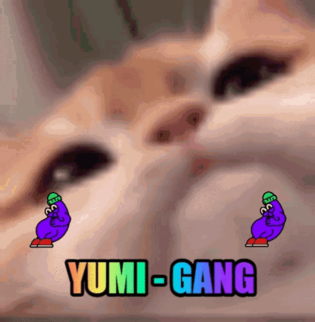 a close up of a cat 's face with a yumi gang sticker