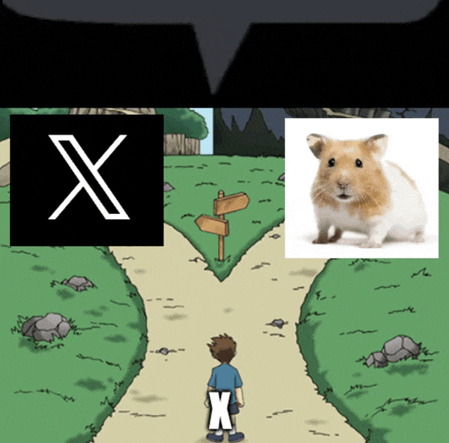 a cartoon of a boy standing at a crossroads with an x and a hamster on the bottom