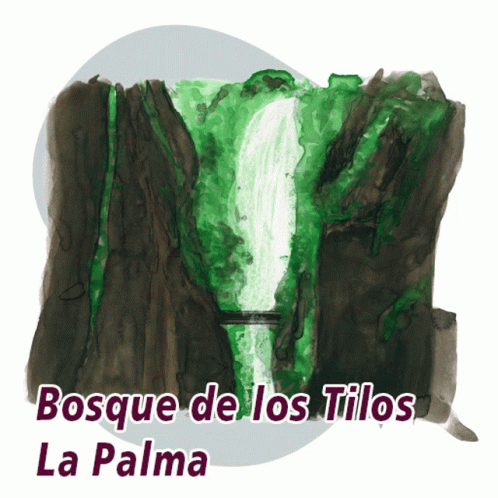 La Palma Los Tilos GIF - La Palma Los Tilos Bosque GIFs