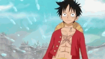 monkey d luffy from one piece has a straw hat on his back