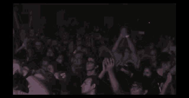 a band called narcisista is playing in front of a crowd