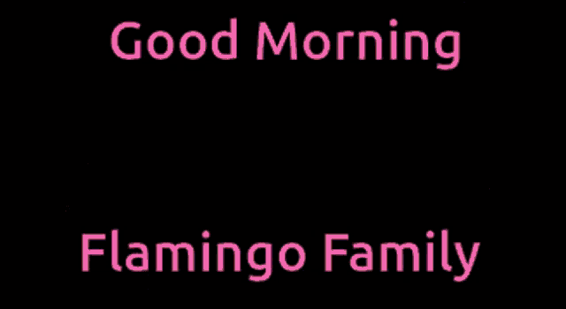 Benny Shilling Flamingo Family Good Morning Good Morning Flamingos GIF - Benny Shilling Flamingo Family Good Morning Good Morning Flamingos Flamingo Family GIFs