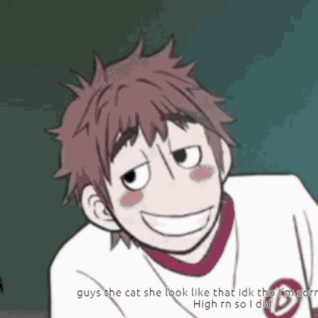 a cartoon of a boy smiling with a caption that says guys the cat she look like that