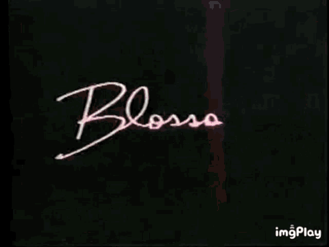 Blossom Opening Theme GIF - Blossom Opening Theme Tv Show GIFs