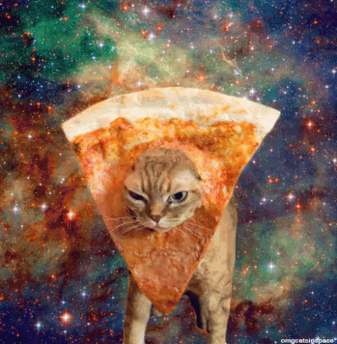 Cheese Pizza Cat GIF - Pizza Cheesepizzagifs GIFs