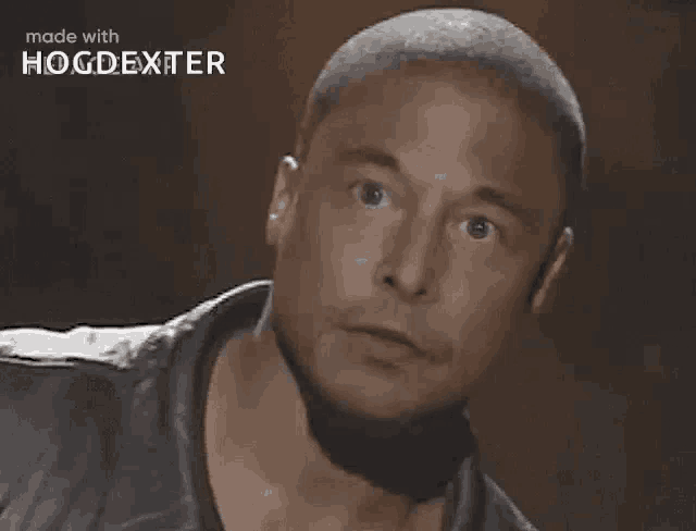 a close up of a man 's face made with hogdexter