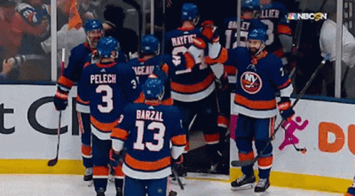 New York Islanders Islanders GIF - New York Islanders Islanders Isles GIFs