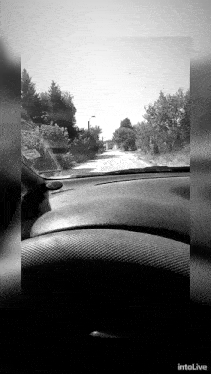 a black and white photo of a car driving down a road with the words intolive at the bottom
