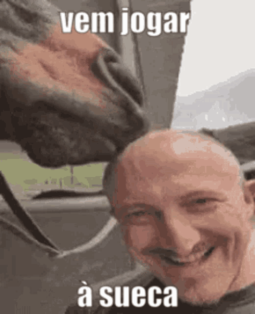 a horse is kissing a man 's forehead in a car .