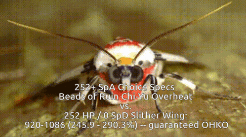 a picture of a bug with the words 252 spa choice specs beads of ruin chi-yu overheat