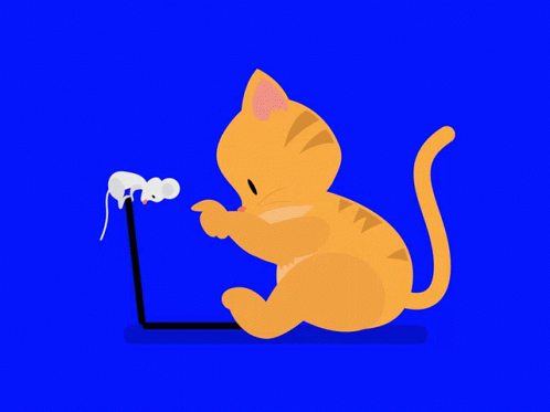 Cat And GIF - Cat And Mouse GIFs