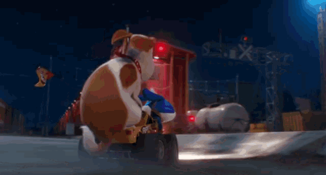 a brown and white dog is riding a motorcycle on a street