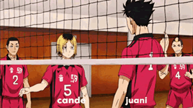 a group of volleyball players are standing around a net and one of them has the number 5 on his back