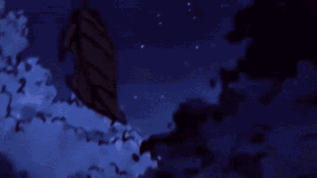 a blurry picture of a person laying on the ground with a blue background