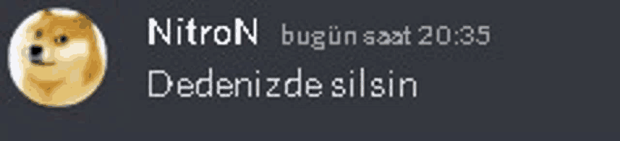 a picture of a doge and the words nitron bugun saat 20:35