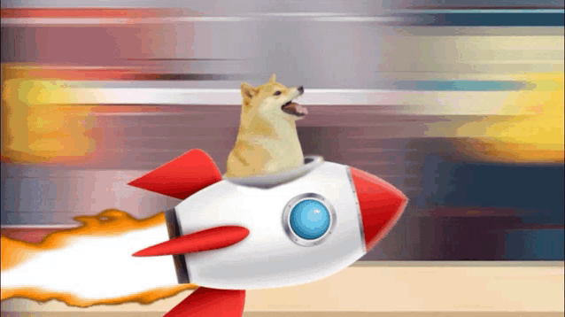 a dog is riding a rocket with a blue eye on it
