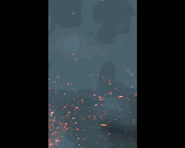 Three Nature GIF