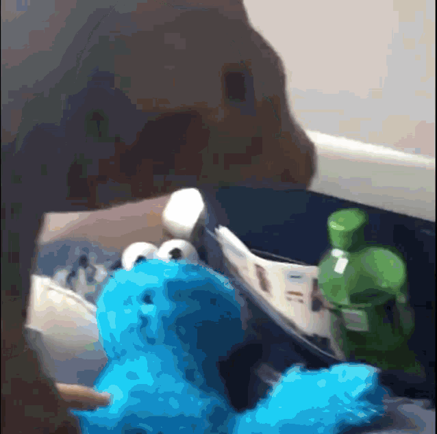 a person holding a stuffed cookie monster in their hand