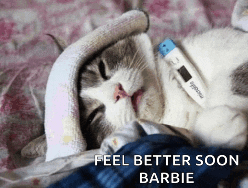 a cat is laying on a bed with a thermometer on its neck and the words feel better soon barbie below it