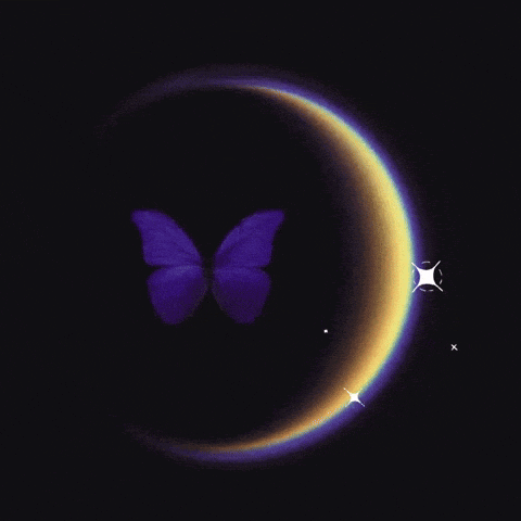 a butterfly with the letter k on it