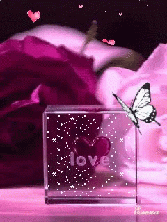 Love Rose GIF - Love Rose Butterfly GIFs
