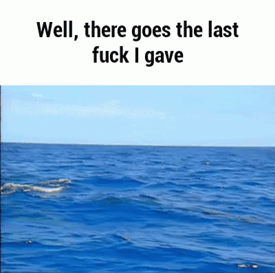 Fuck Dolphin GIF - Fuck Dolphin - Discover & Share GIFs