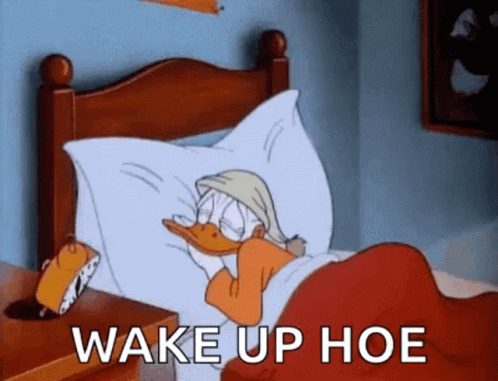 Donald Duck GIF - Donald Duck Wakey GIFs
