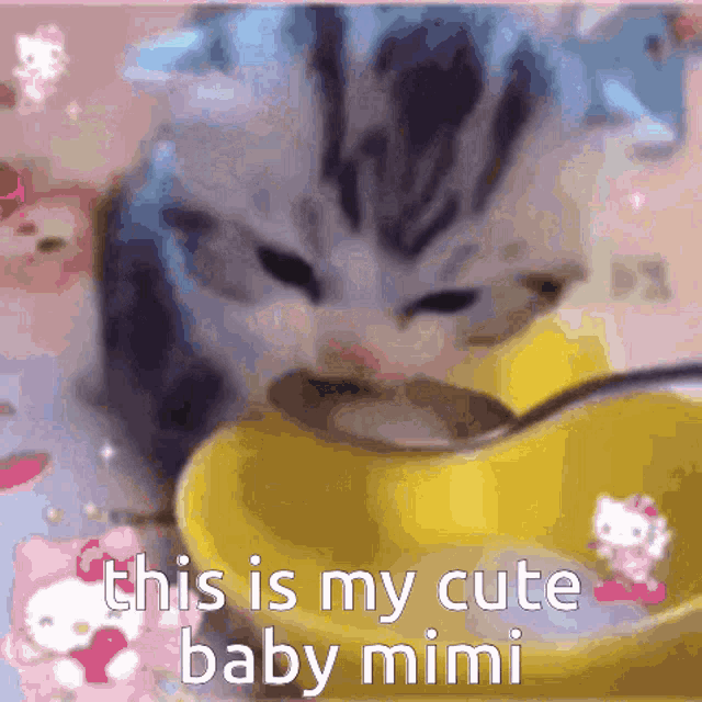 Mimi Miyo GIF - Mimi Miyo Mimi Eat GIFs