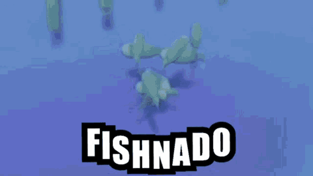a group of fish are swimming in the water and the word fishnado is on the bottom