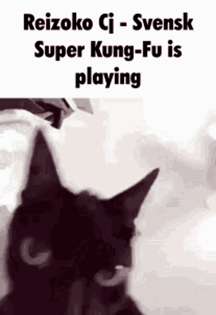 a black cat is playing a video game called super kung fu .