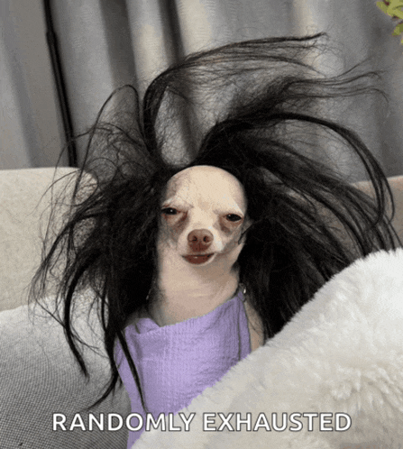 a picture of a dog with a wig on and the words randomly exhausted below it