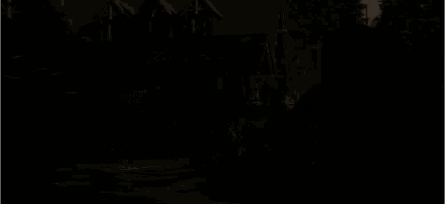 a large house is surrounded by trees and bushes in the dark .