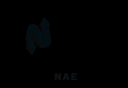 a blue letter n with an arrow pointing up and the word nae below it on a black background