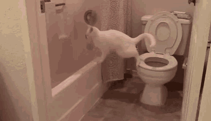 a white cat is jumping on a toilet in a bathroom .