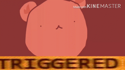 Triggered Animated GIF - Triggered Animated Fed Up GIFs