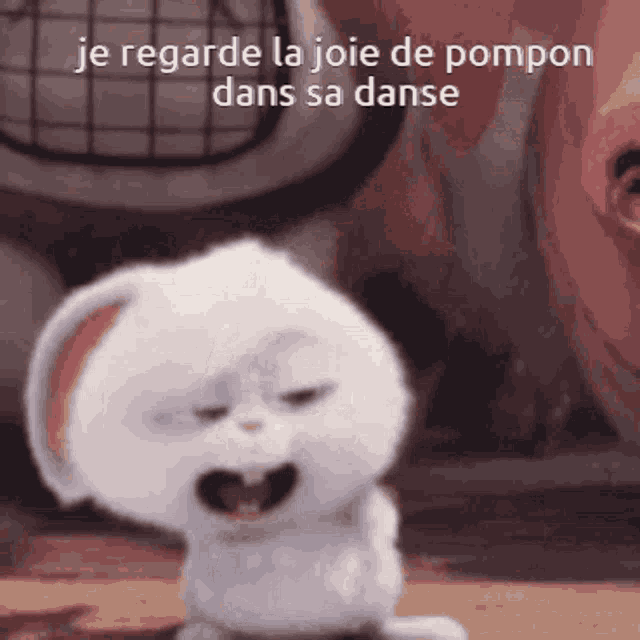 a white stuffed animal with the words je regarde la joie de pompon dans sa danse written on it
