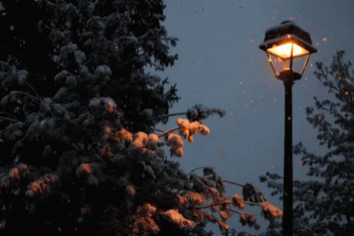 Snow Lights GIF - Snow Lights GIFs