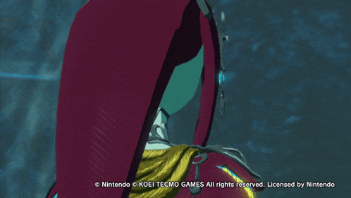 a screenshot of a video game by nintendo and koei tecmo games