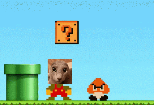 a video game scene with a cat and a mushroom