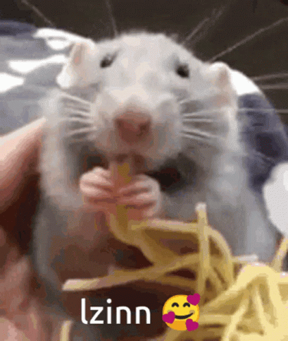 Lzinn Rat GIF - Lzinn Rat Mouse GIFs