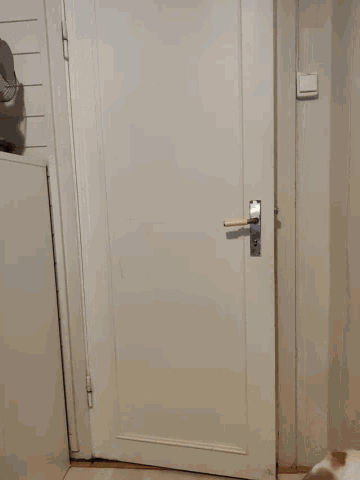 a man and a dog are looking through a white door