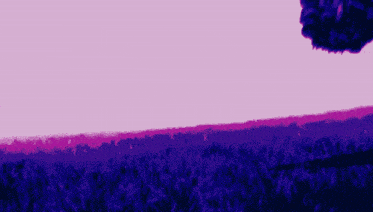 a purple and pink painting of a person 's feet