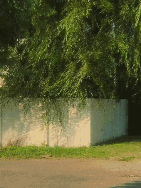 a white fence is surrounded by green trees and grass